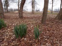 schleusenpark03 schleusenpark03