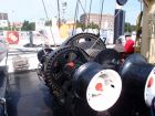 bussard003